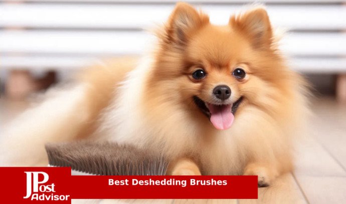 10 Most Popular Deshedding Brushes for 2023