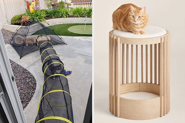 34 Products Your Pet Will Personally Thank You For Buying