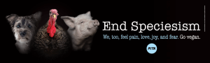 Alarming Pattern of Animal Welfare Violations at Iowa County Puppy Mill Leads PETA to Seek Criminal Probe