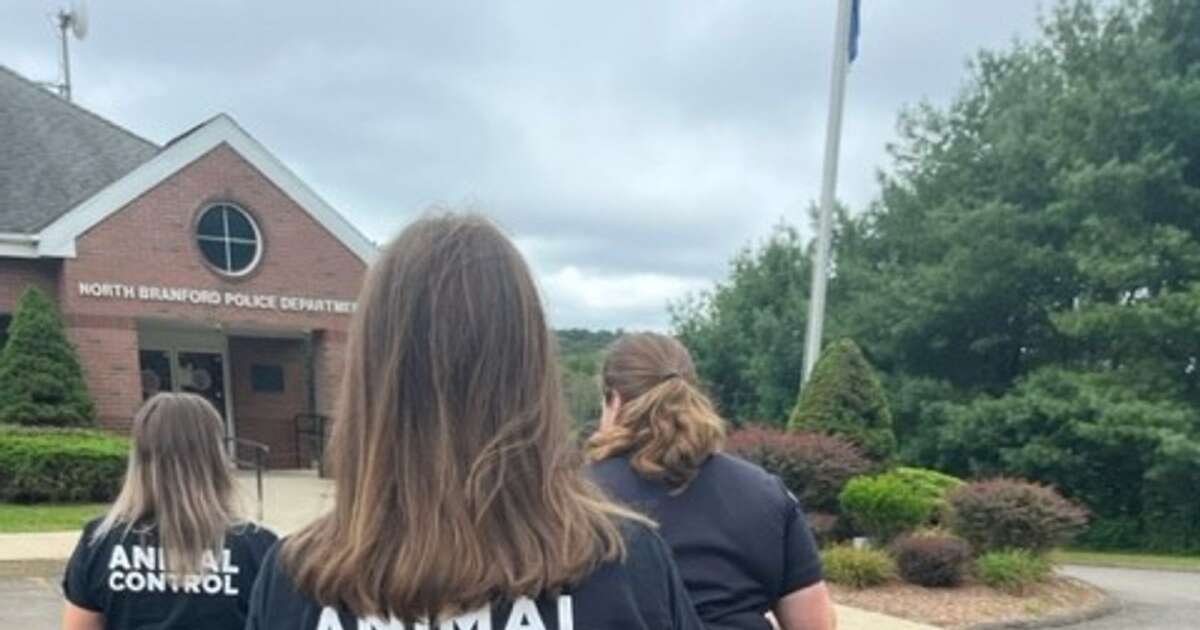 Cosgrove Shelter Pens Farewell to North Branford Connections