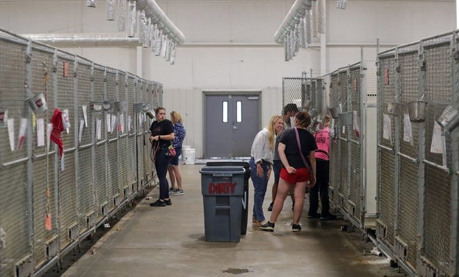 The Humane Society of Summit County facility in Twinsburg Township includes dog kennels that face each other and can elevate canine stress; a new complex to be constructed in Cuyahoga Falls will face the kennels away from each other.