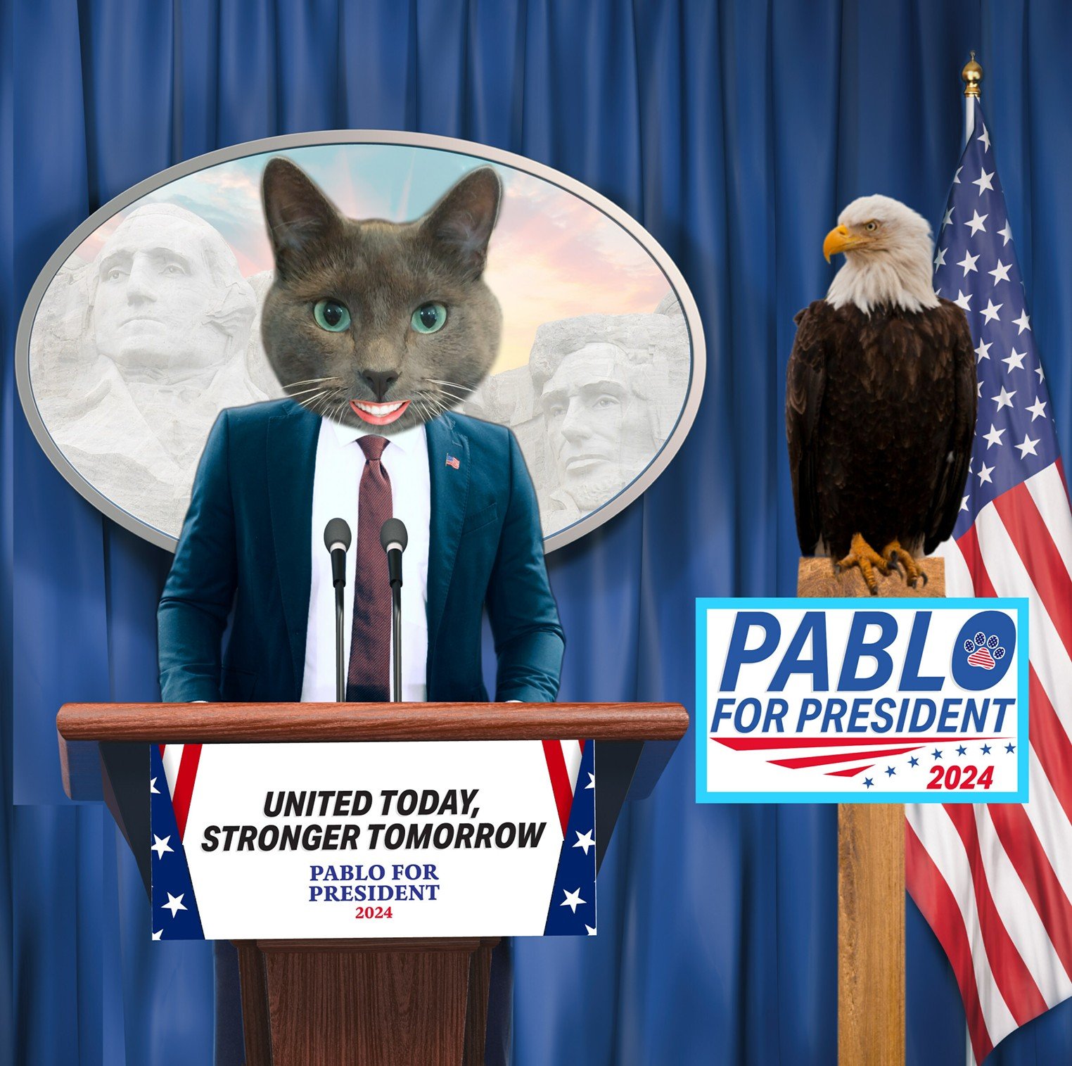 Meet Pablo, the Colorado Cat Running for President