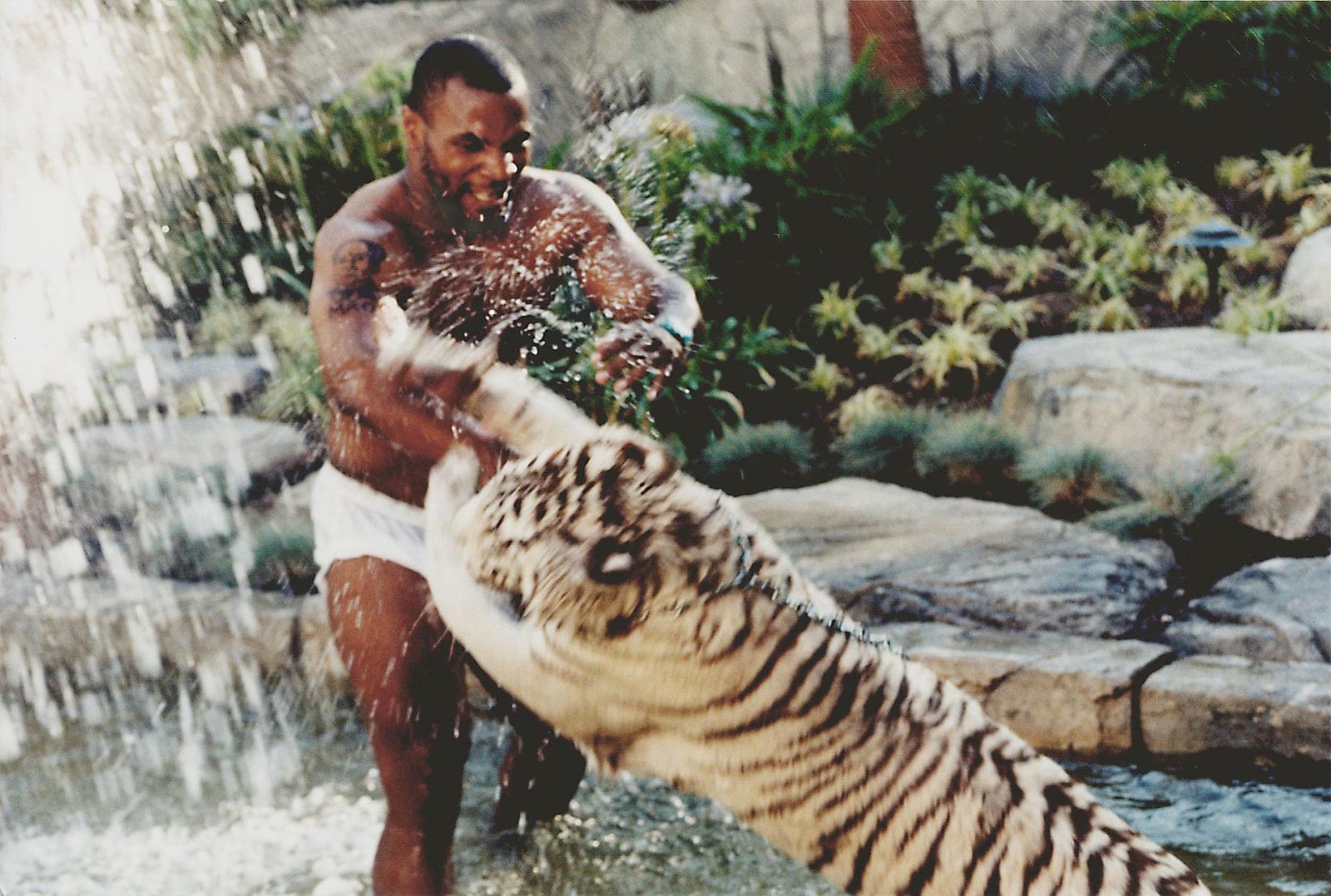 Mike Tyson Admits Owning Black Panther & Not Just Tigers After 2 Decades of Bankruptcy