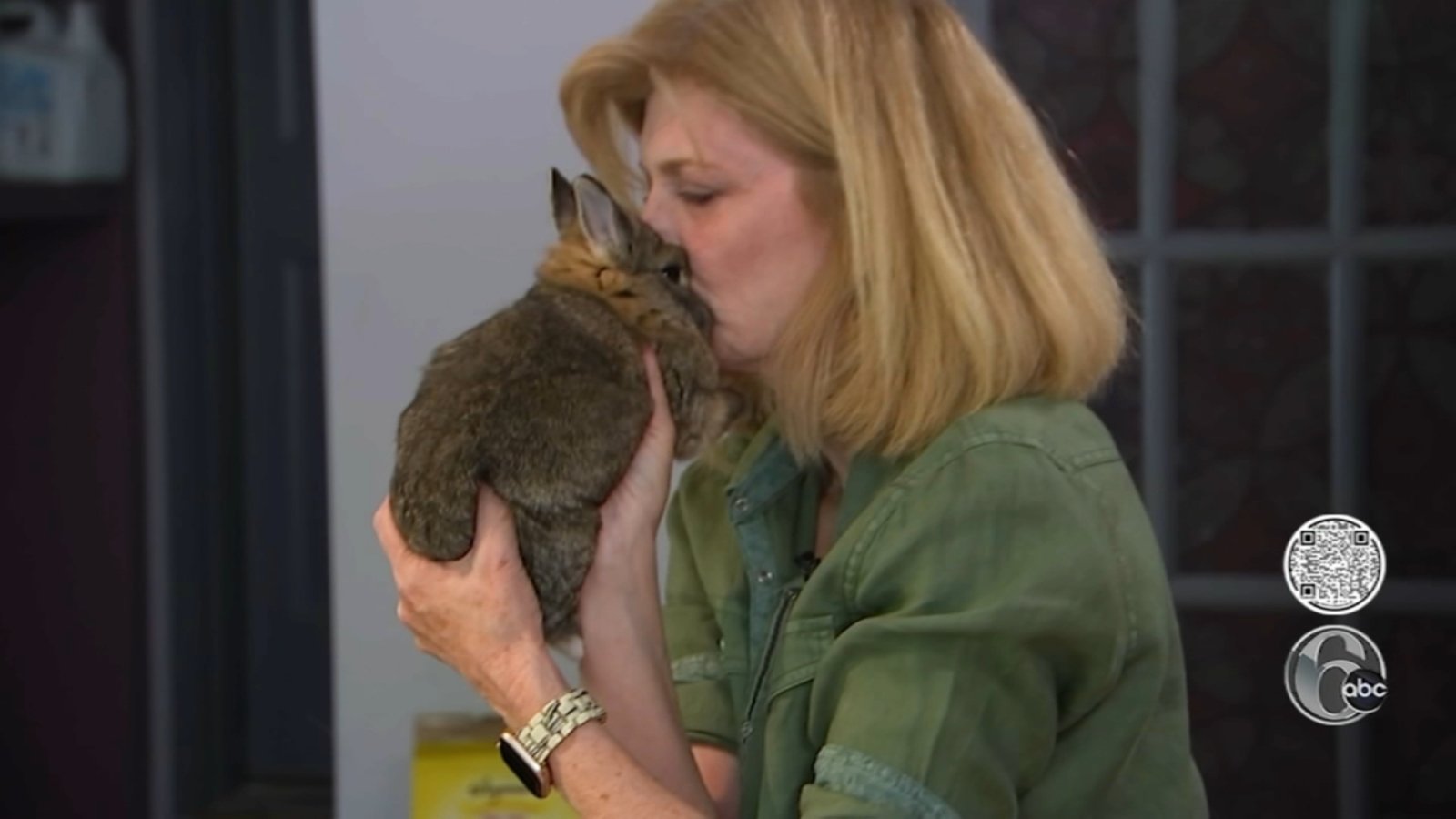 Tribbles Rabbit Rescue, Bunny Cafe help rabbits find a new home